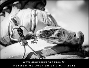 Portrait-du-Jour-2015-07-27