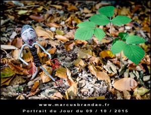 Portrait-du-Jour-2015-10-09