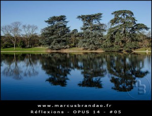Reflets-et-Reflexions-Opus-14-05