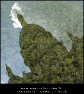 marcus-brandao-reflets-et-reflexions-opus-01-07C