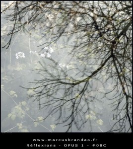 marcus-brandao-reflets-et-reflexions-opus-01-08C