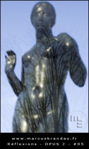 marcus-brandao-reflets-et-reflexions-opus-02-05