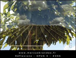 marcus-brandao-reflets-et-reflexions-opus-04-09A