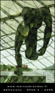marcus-brandao-reflets-et-reflexions-opus-04-09B