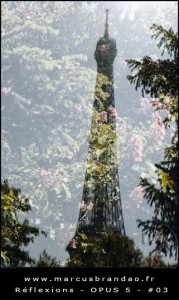 marcus-brandao-reflets-et-reflexions-opus-05-03