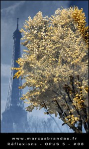 marcus-brandao-reflets-et-reflexions-opus-05-08