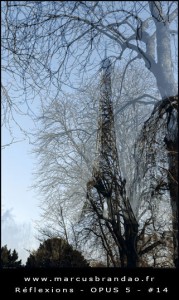marcus-brandao-reflets-et-reflexions-opus-05-14