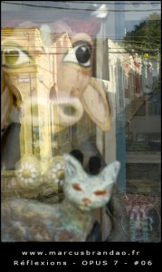 marcus-brandao-reflets-et-reflexions-opus-07-06