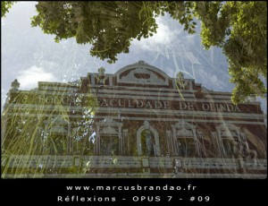marcus-brandao-reflets-et-reflexions-opus-07-09