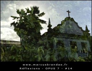 marcus-brandao-reflets-et-reflexions-opus-07-14