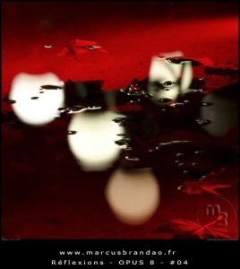 marcus-brandao-reflets-et-reflexions-opus-08-04