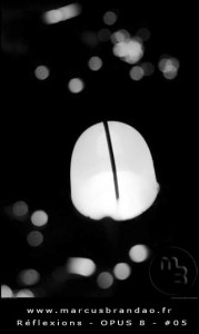 marcus-brandao-reflets-et-reflexions-opus-08-05
