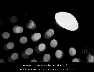 marcus-brandao-reflets-et-reflexions-opus-08-15