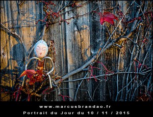 Portrait-du-Jour-2015-11-10