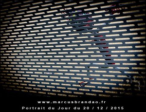 Portrait-du-Jour-2015-12-20