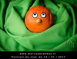 Portrait du Jour 2017-01-16