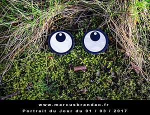 Portrait du jour 2017-03-01