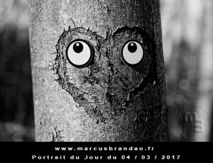 Portrait du jour 2017-03-04