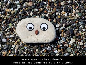 Portrait du jour 2017-04-07