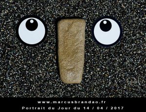 Portrait du jour 2017-04-14