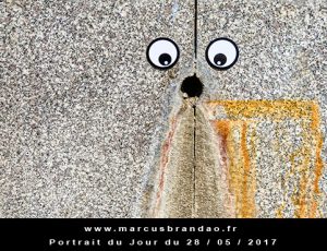 Portrait du jour 2017-05-28