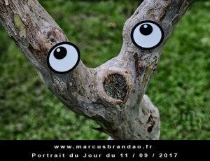Portrait du jour 2017-09-11