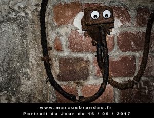 Portrait du jour 2017-09-16