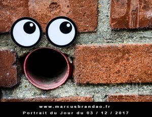 Portrait du jour 2017-12-03