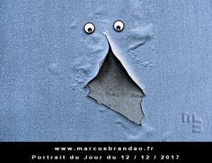 Portrait du jour 2017-12-12