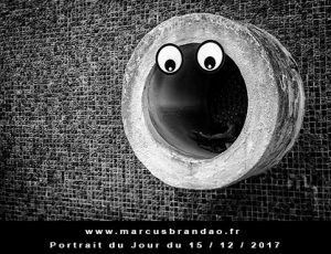 Portrait du jour 2017-12-15