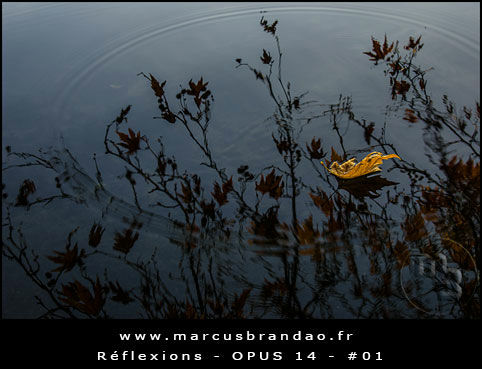 Reflets-et-Reflexions-Opus-14-01 Reflets-et-Reflexions-Opus-14-01