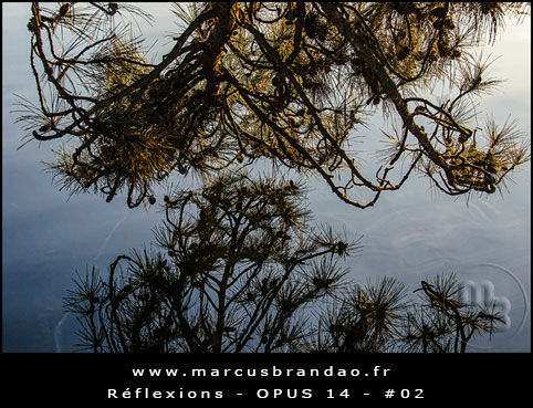 Reflets-et-Reflexions-Opus-14-02 Reflets-et-Reflexions-Opus-14-02