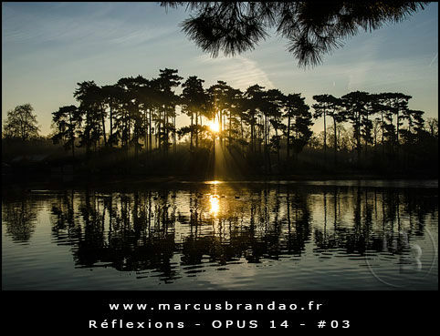 Reflets-et-Reflexions-Opus-14-03 Reflets-et-Reflexions-Opus-14-03
