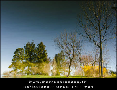 Reflets-et-Reflexions-Opus-14-04 Reflets-et-Reflexions-Opus-14-04
