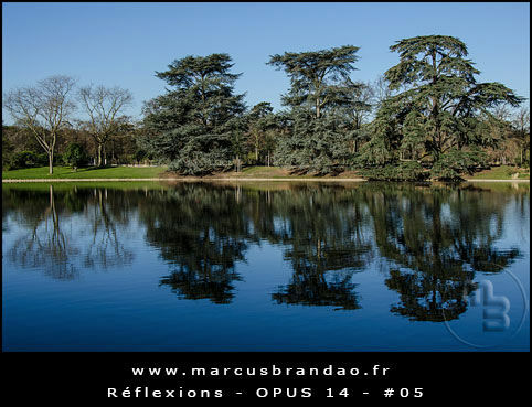 Reflets-et-Reflexions-Opus-14-05 Reflets-et-Reflexions-Opus-14-05