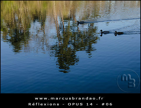 Reflets-et-Reflexions-Opus-14-06 Reflets-et-Reflexions-Opus-14-06