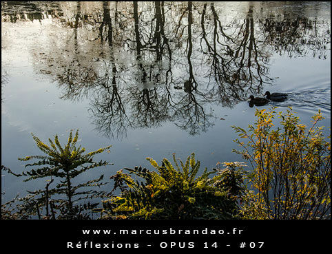 Reflets-et-Reflexions-Opus-14-07 Reflets-et-Reflexions-Opus-14-07