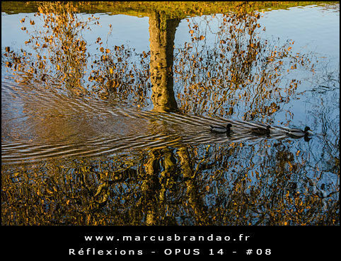 Reflets-et-Reflexions-Opus-14-08 Reflets-et-Reflexions-Opus-14-08