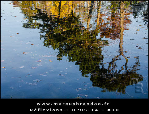 Reflets-et-Reflexions-Opus-14-10 Reflets-et-Reflexions-Opus-14-10
