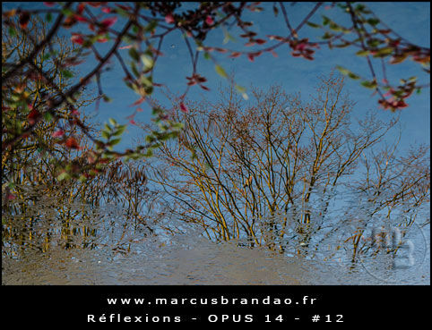 Reflets-et-Reflexions-Opus-14-12 Reflets-et-Reflexions-Opus-14-12