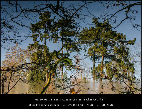 Reflets-et-Reflexions-Opus-14-14 Reflets-et-Reflexions-Opus-14-14