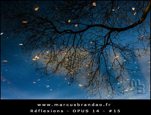 Reflets-et-Reflexions-Opus-14-15 Reflets-et-Reflexions-Opus-14-15