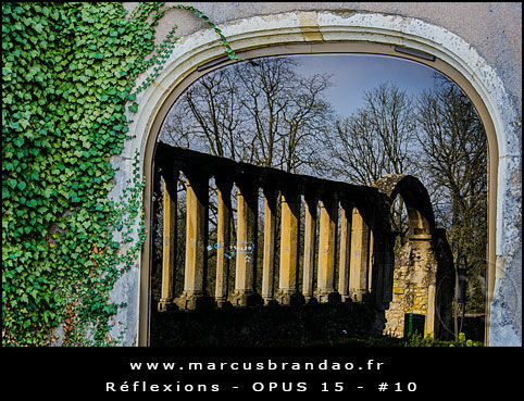 Reflets-et-Reflexions-Opus-15-10 Reflets-et-Reflexions-Opus-15-10