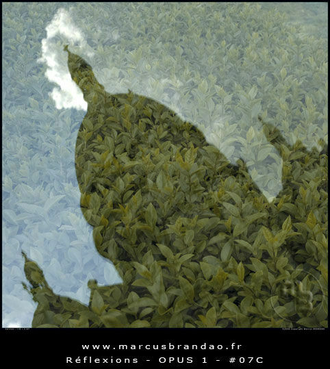 marcus-brandao-reflets-et-reflexions-opus-01-07C marcus-brandao-reflets-et-reflexions-opus-01-07C