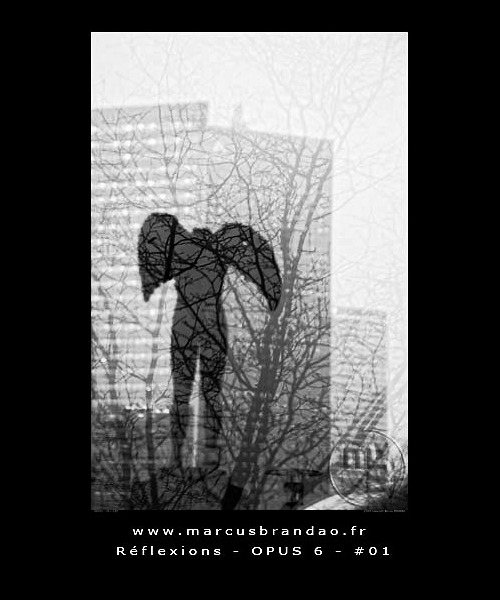 marcus-brandao-reflets-et-reflexions-opus-06-01 marcus-brandao-reflets-et-reflexions-opus-06-01