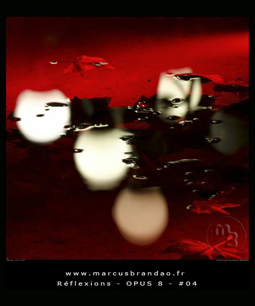 marcus-brandao-reflets-et-reflexions-opus-08-04 marcus-brandao-reflets-et-reflexions-opus-08-04