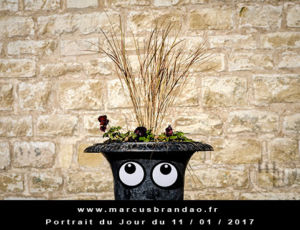 Portrait du Jour 2017-01-11