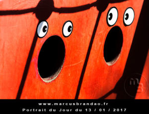 Portrait du Jour 2017-01-13