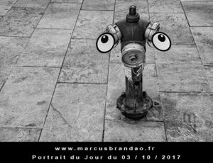 Portrait du jour 2017-10-03, quand les objets prennent vie. En 2017 l’artiste photographe Marcus BRANDAO s’amusera à donner vie à des objets. Portrait du jour 2017-10-03