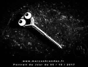 Portrait du jour 2017-10-05, quand les objets prennent vie. En 2017 l’artiste photographe Marcus BRANDAO s’amusera à donner vie à des objets. Portrait du jour 2017-10-05